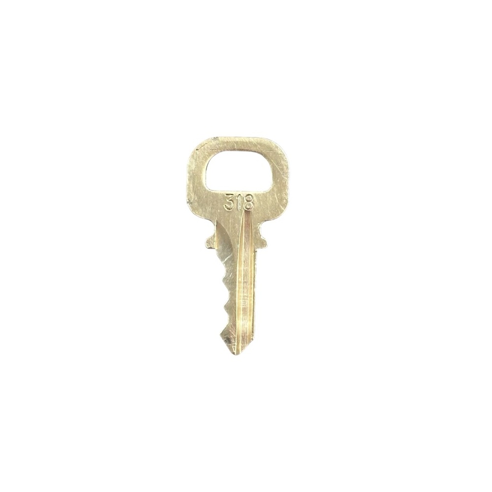 Authentic Louis Vuitton spare key 318 🔑